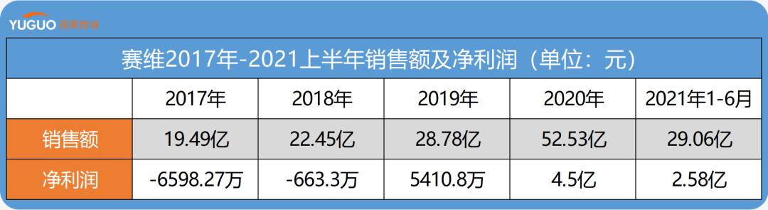 赛维公司的品牌,赛维2020年销售额