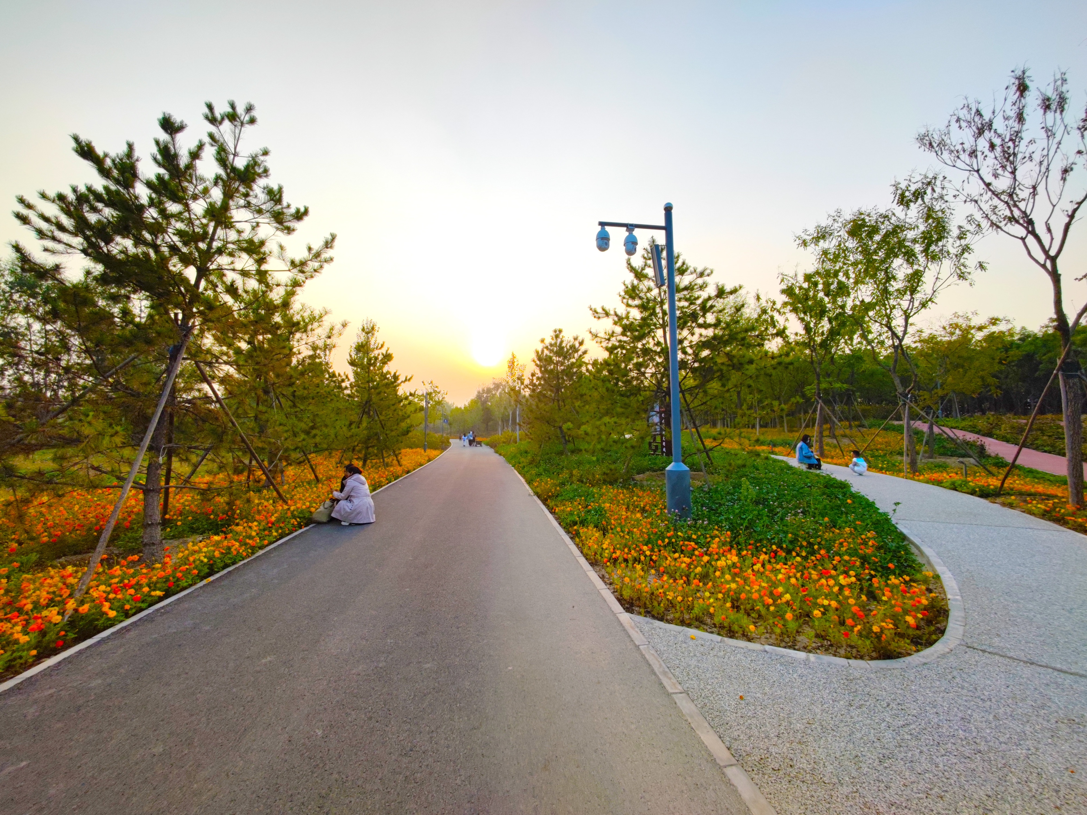 北京最值得去玩的自然风景公园,北京巨型公园免费景点