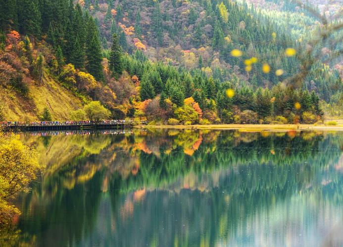 各美其美作文,各美其美美人之美高中作文