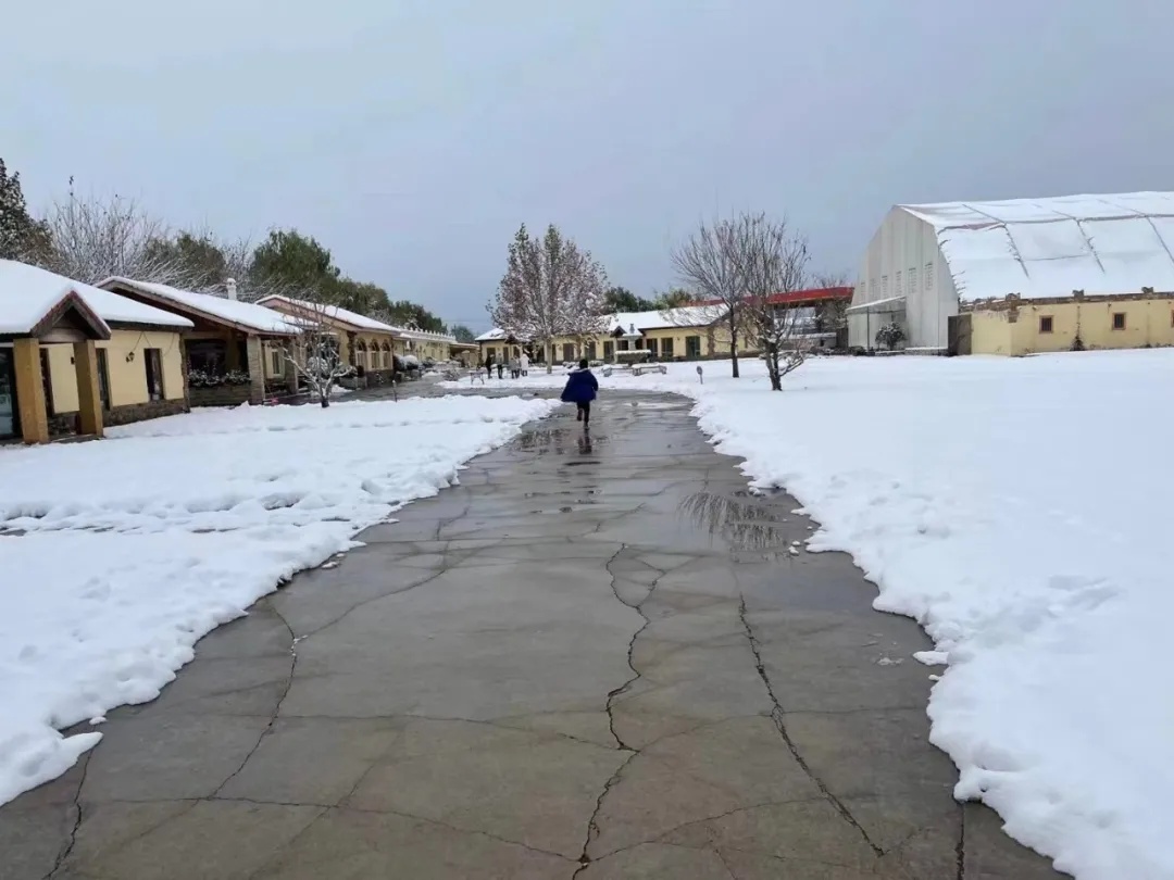 ckur马术比赛,ckur国际马术俱乐部