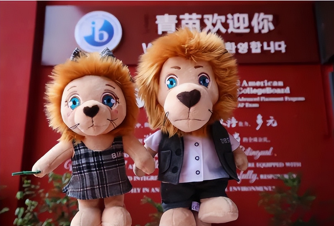 6年级小学生简历“好厉害”，雅思近满分，小学拿奖比同龄学生多