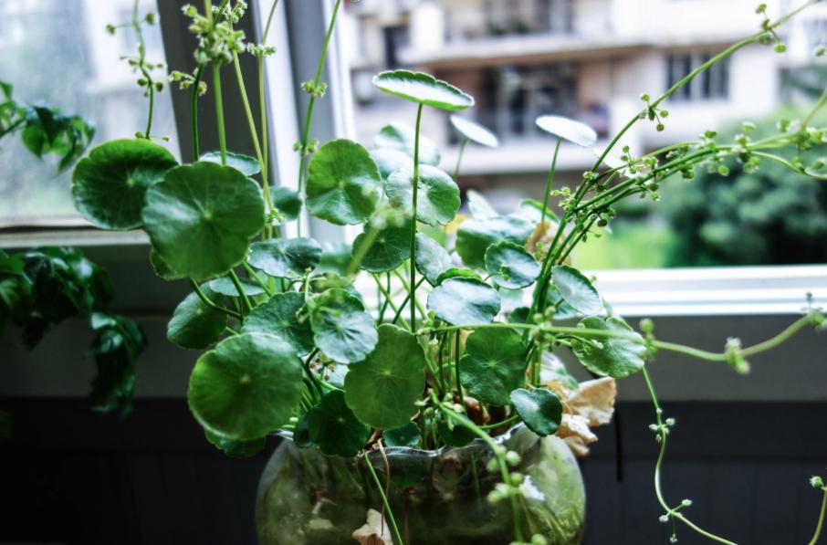 副业赚钱的10大建议,下班后怎么靠副业赚钱