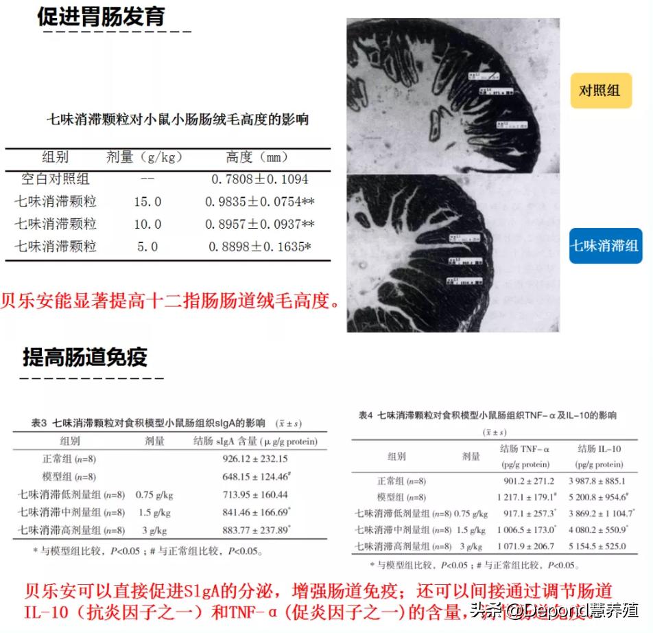 猪顽固拉稀怎么办,猪不爱吃料是怎么回事啊