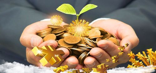 台州市椒江区基础设施投资公司,国银鼎信：个人理财项目攻略大全