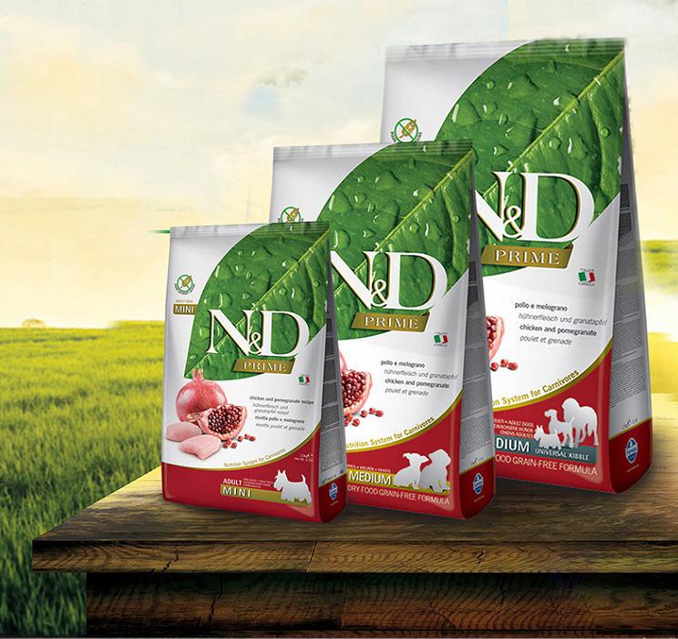 博美狗粮排名前十品牌,金毛狗粮排名前十名品牌