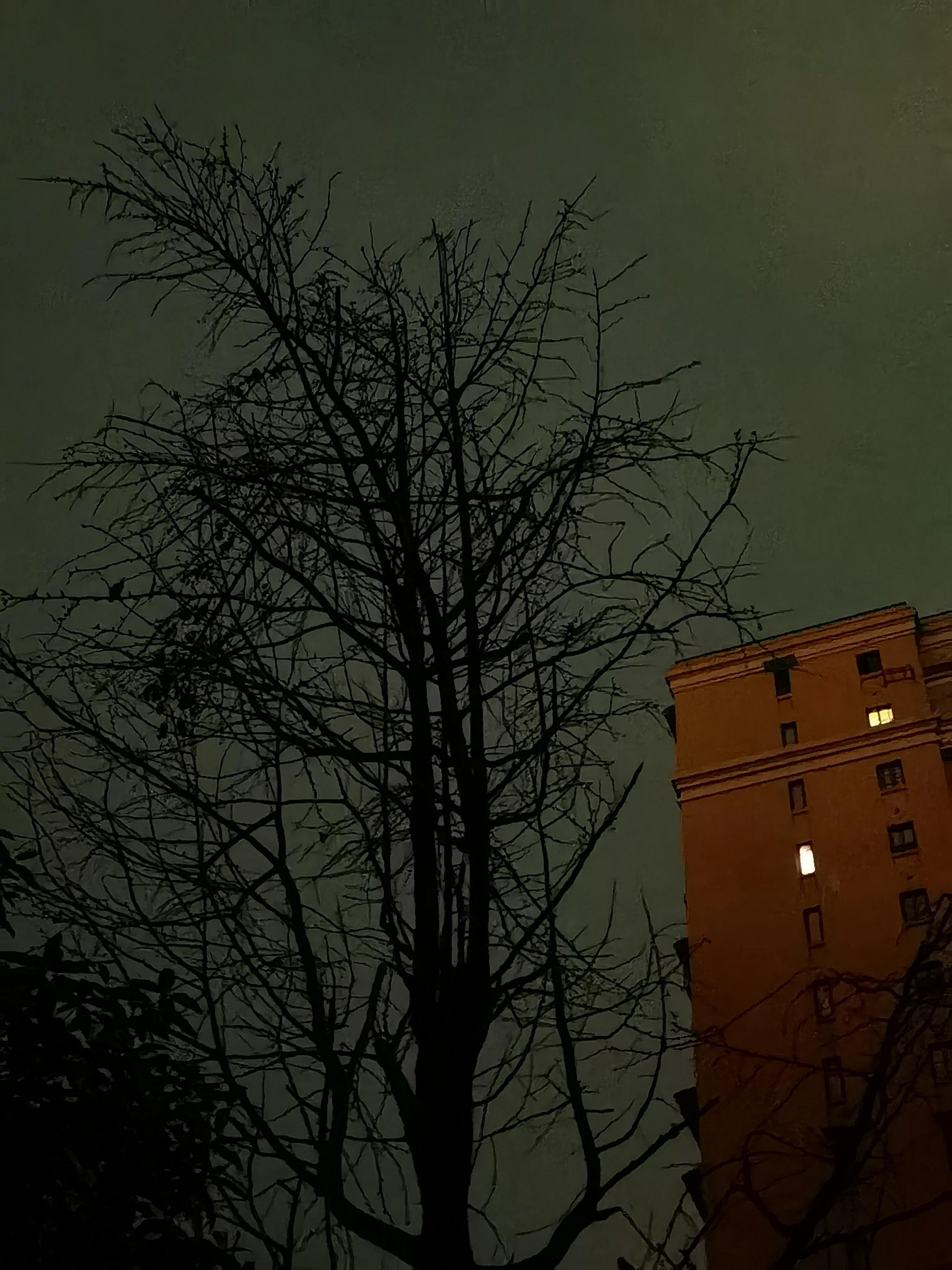 雨水的雪水,收集的雨水