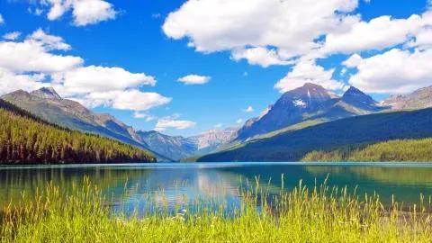 住高层老人去世不走电梯,住高层老人过世邻居不让走电梯