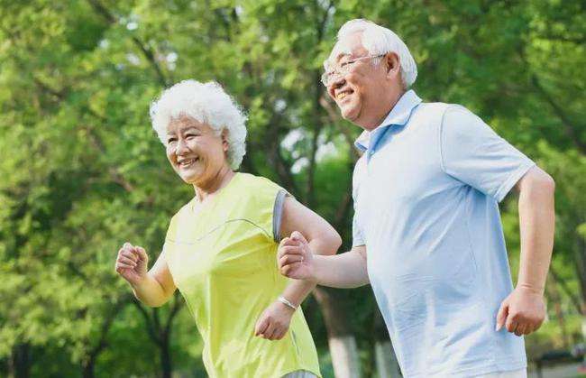 老年人头发晕有啥偏方,老年人头晕缺血吃什么