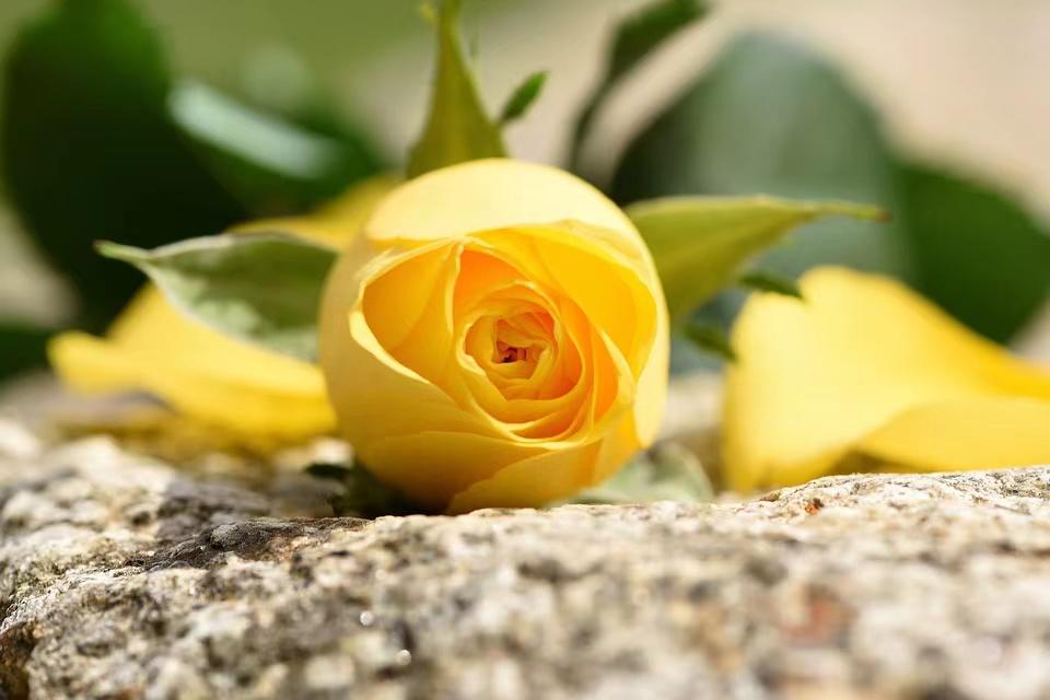 婚姻里什么才是女人的终极安全感,女人怎么样才能在婚姻里有安全感