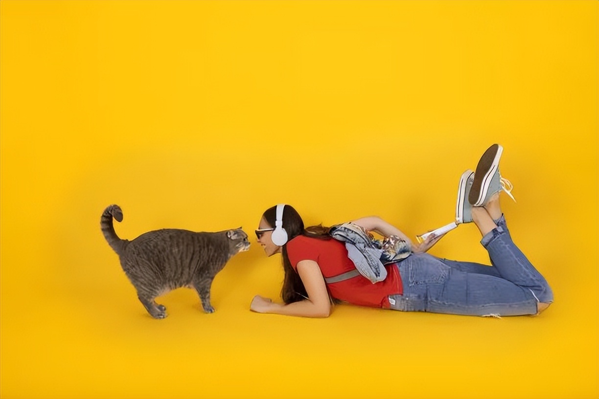 科学养猫攻略之新手养猫注意事项,猫怎么养新手养猫需注意4大问题