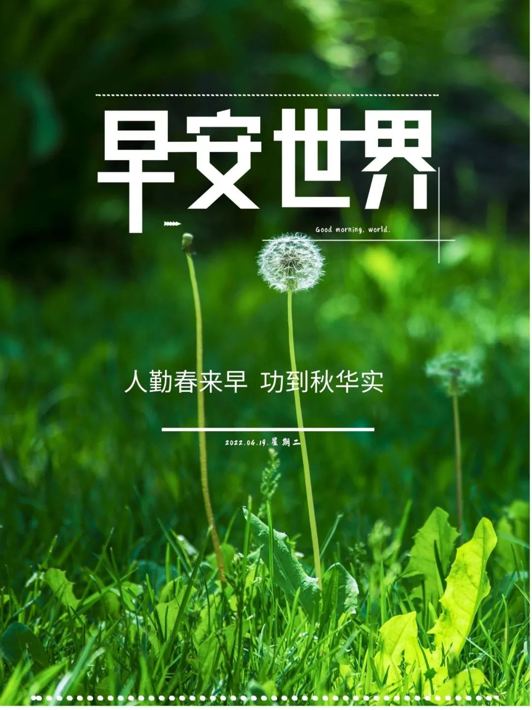 早安的句子跟图片朋友圈正能量,早安正能量的短句子心语图片大全