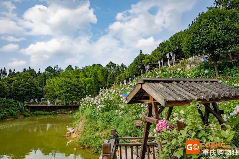 小长假旅游景点大全,夏季周边旅游美食之旅