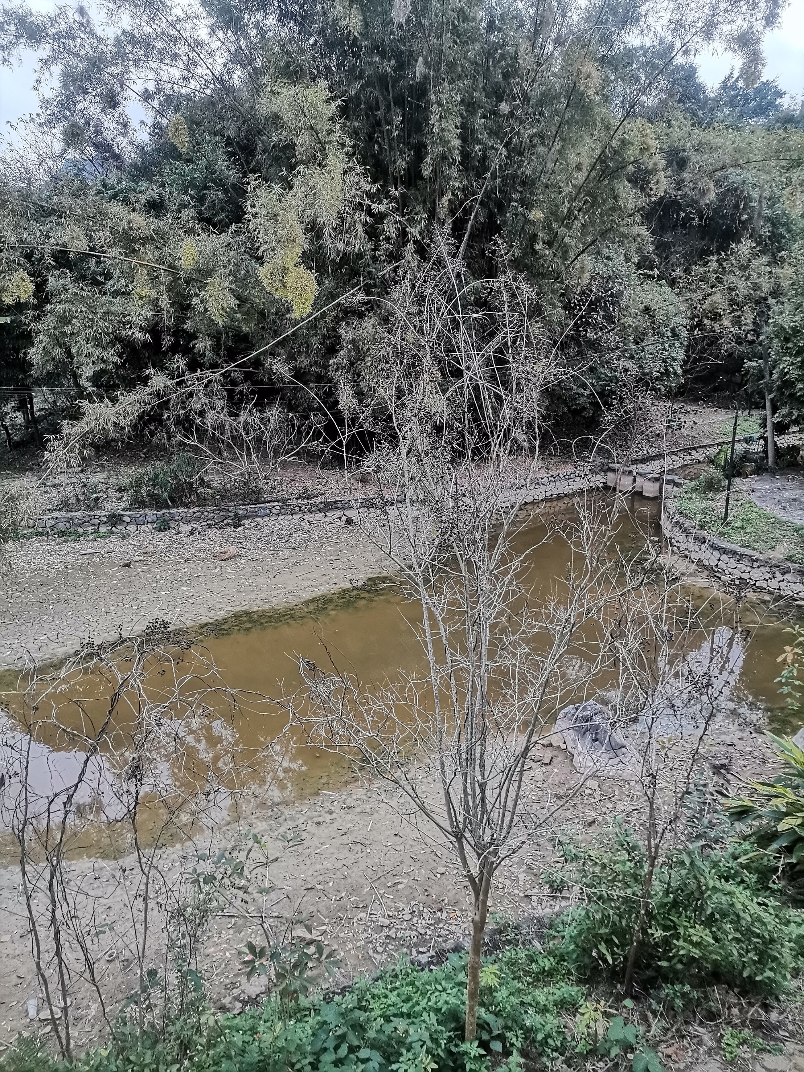 父亲的回忆录连载,父亲的回忆录完整版