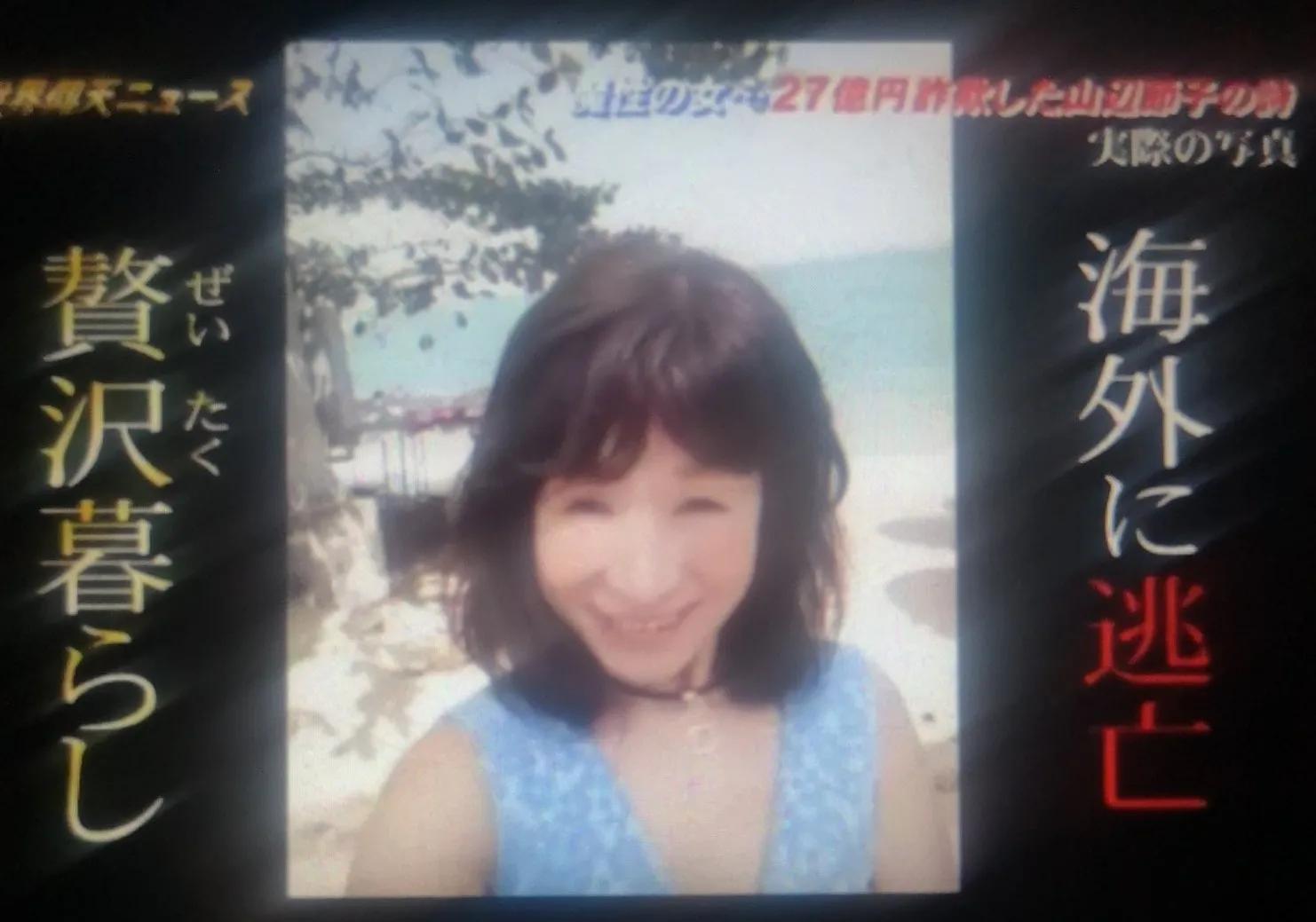 绿茶女诈骗案例,诈骗12亿日本女诈骗犯