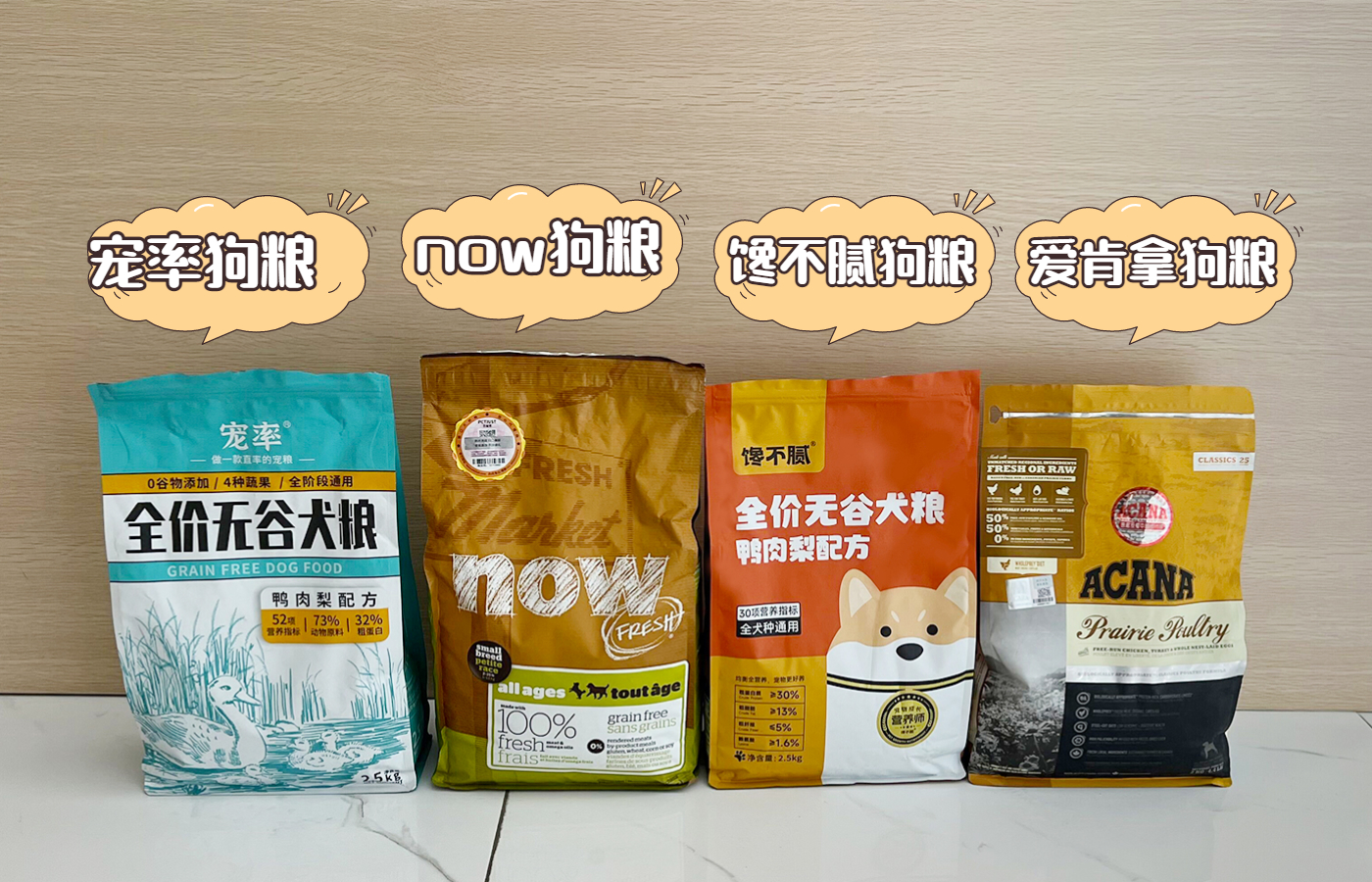 养比熊10大忌比熊犬的优缺点,小体比熊与标体比熊哪个好养