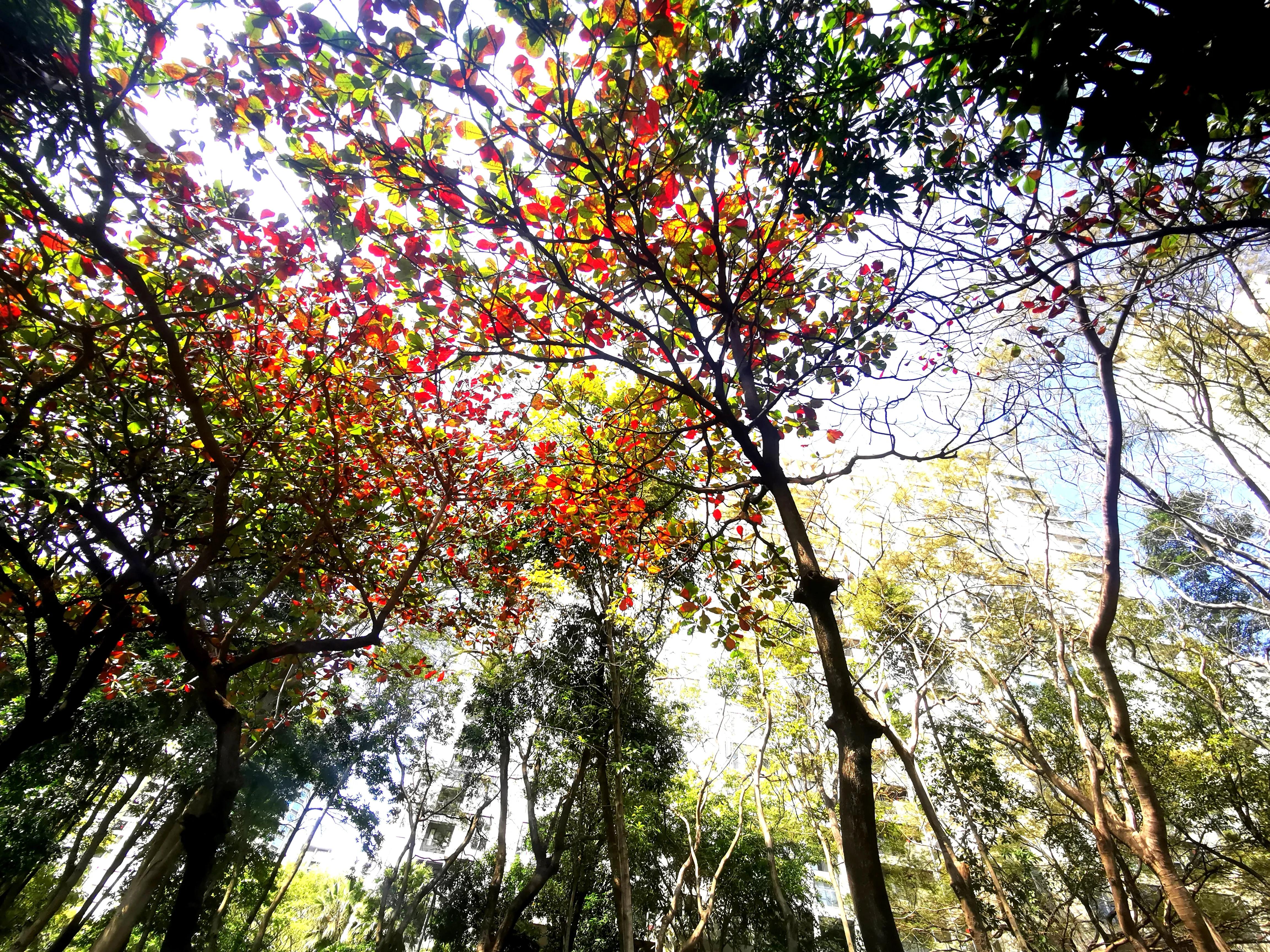 深圳街拍夏天视频,深圳冬季街拍