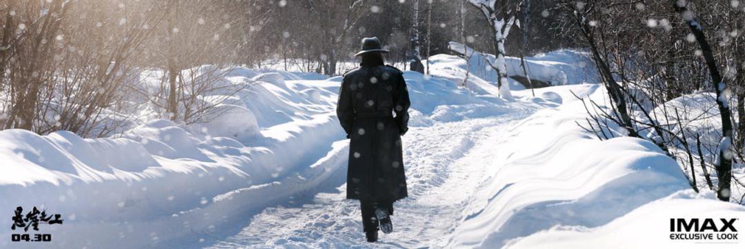 张艺谋贾玲,中国电影贾玲获奖