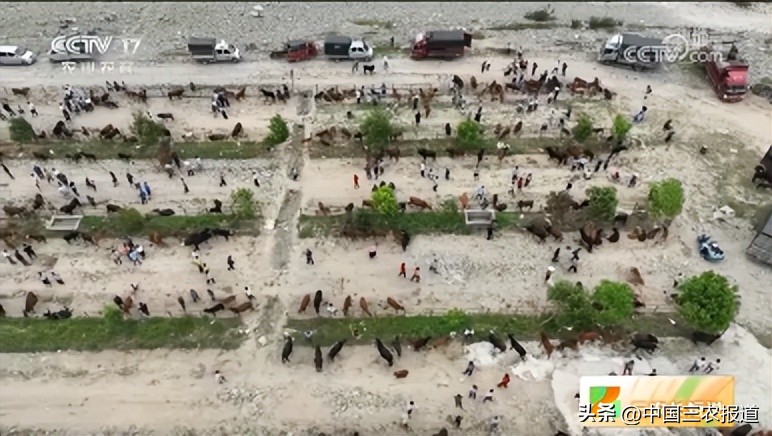 村超踢赢国家队,村超足球精彩瞬间