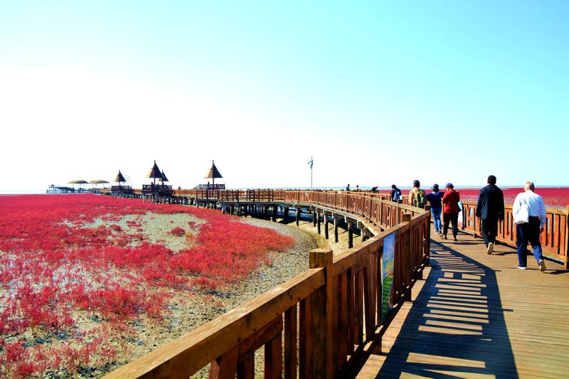 辽宁盘锦在哪个地方,去盘锦旅游哪里好