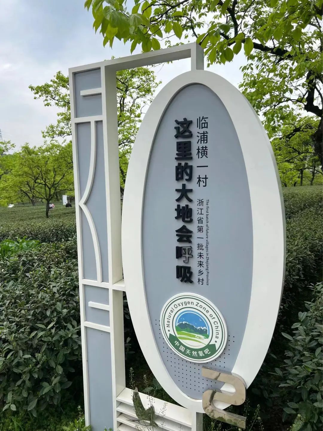 初心如磐永奋斗方面的文章,初心如磐奋进不止