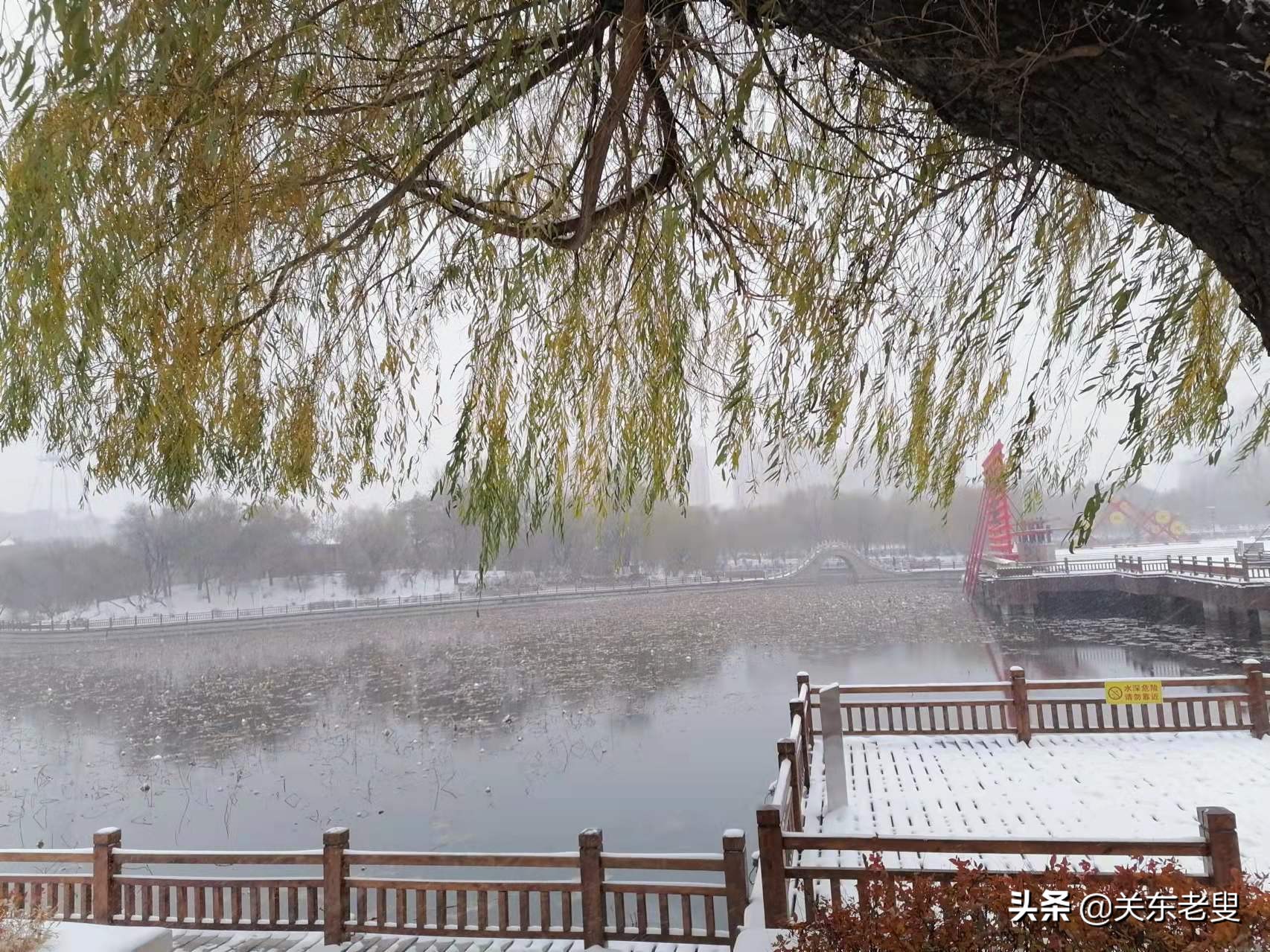 看《共和国的骄子》联想起“哈、洛、瓦！”三轴