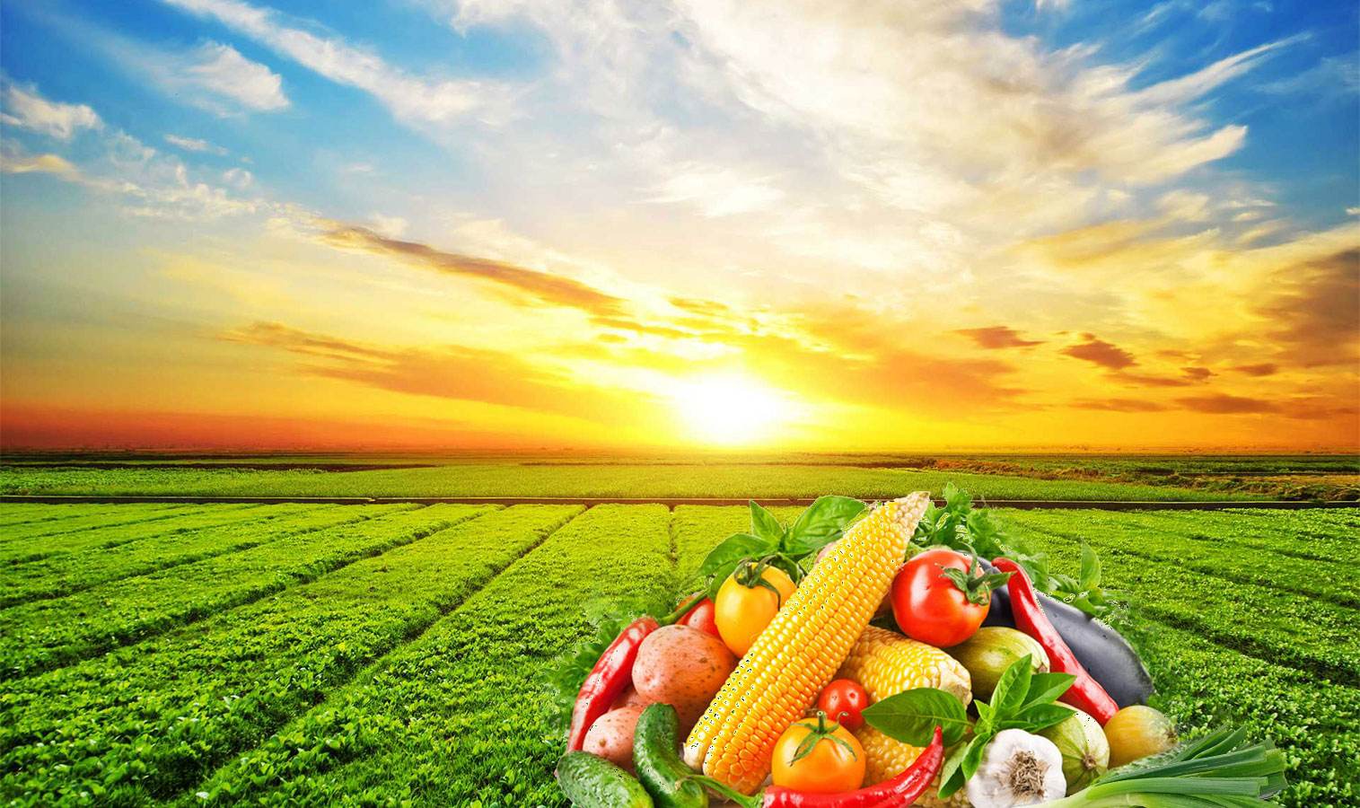 俄乌战争对中国股市有何影响,俄乌战争结束大宗商品会跌吗