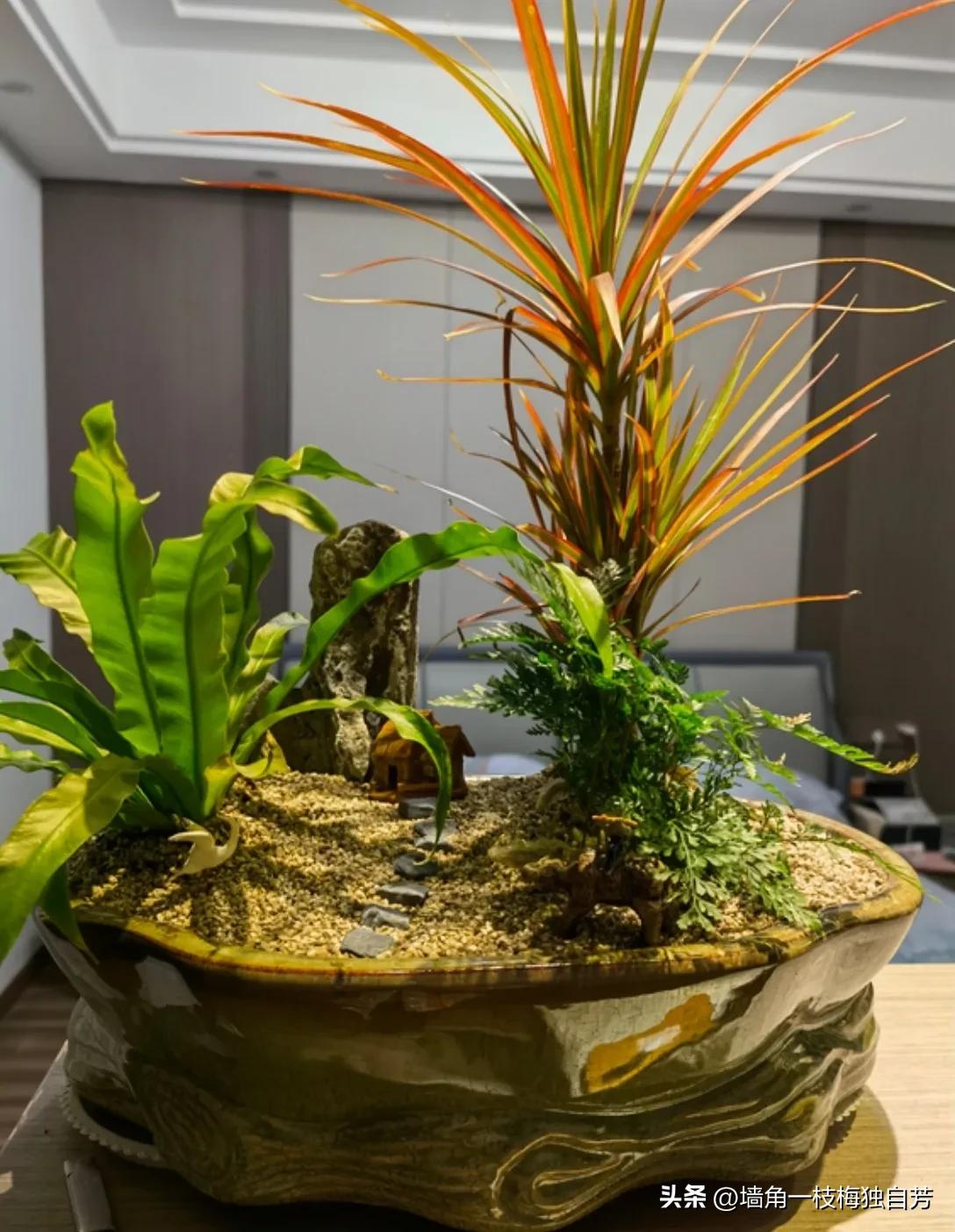 去花店买花怎么样才不会被坑,花店买花避坑指南