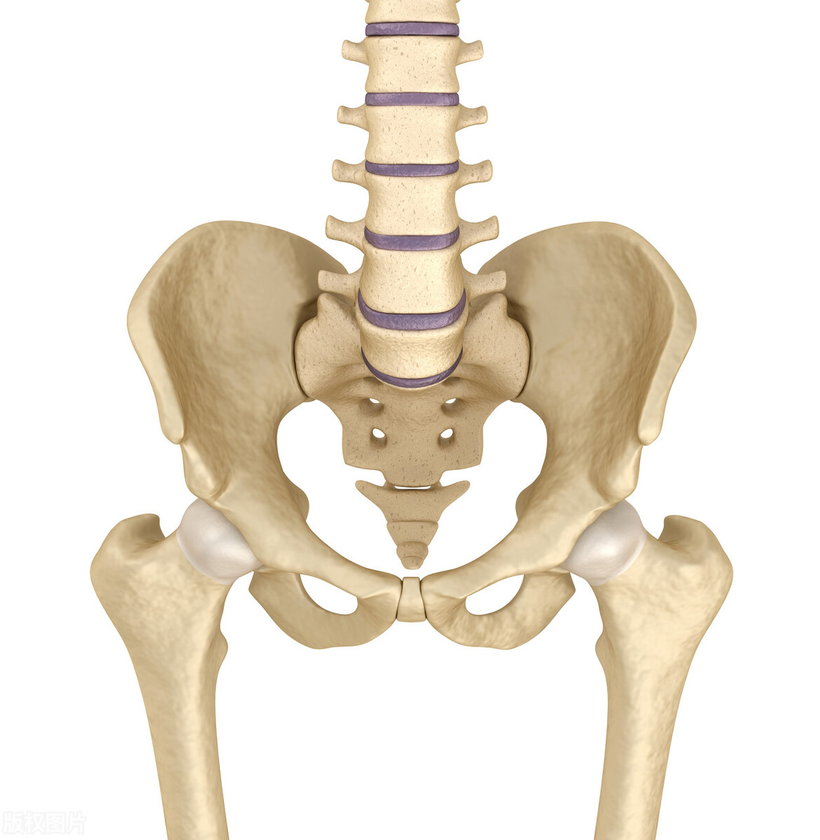 盆腔积液1.8严重吗需要治疗吗,盆腔积液是什么原因造成的咋治疗