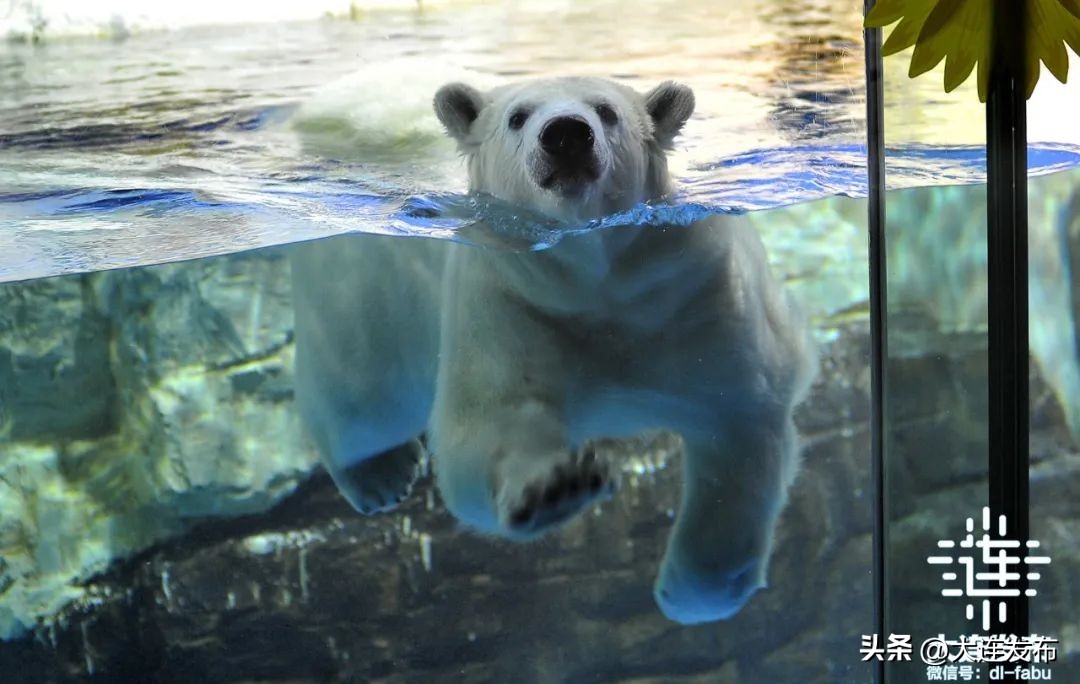 一日游大连旅游景点大全,大连旅行十大景区排名