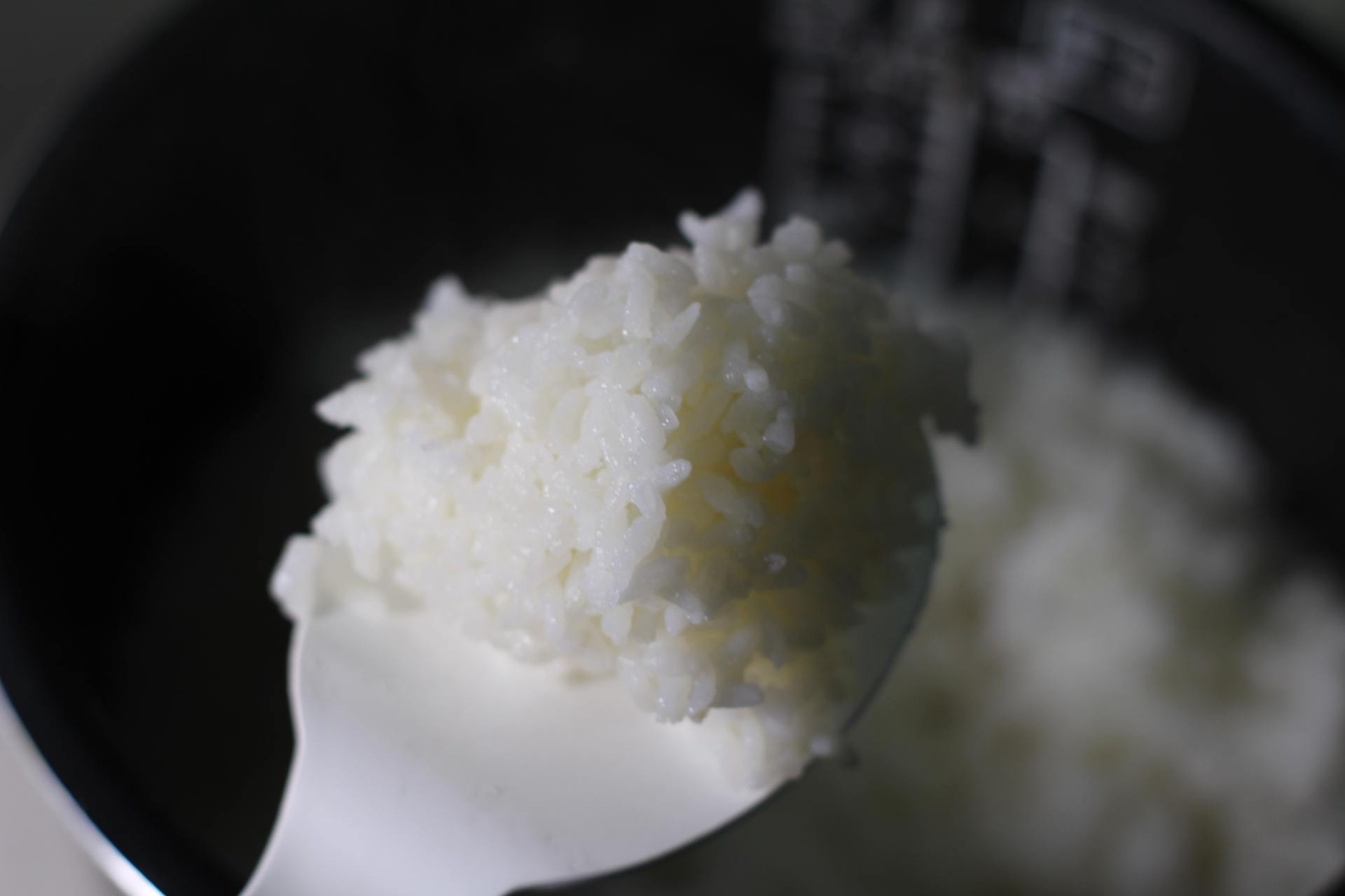 东芝电饭煲rc-10ht3l怎么样 (东芝电饭煲rc-10ltc)