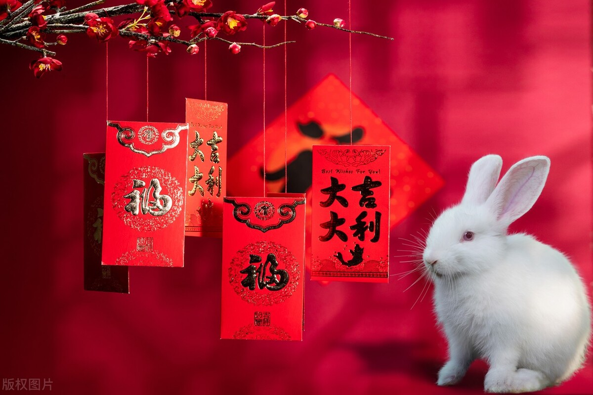 黑兔来送财好不好,黑兔来财