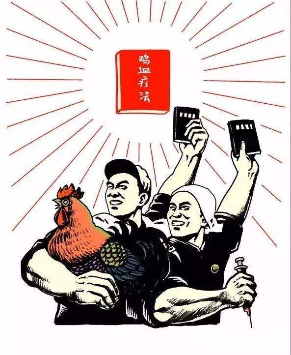 曾风靡全国，万人怀抱公鸡排队等着打鸡血，为何后来销声匿迹了？