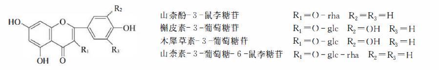 含黄酮类成分的药材有,陈皮的黄酮类成分作用