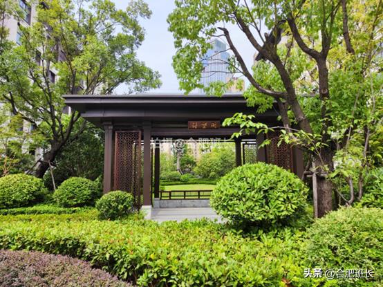 紧邻公园不如住在公园，实探以中式园林闻名的滨湖区葛洲坝紫郡府