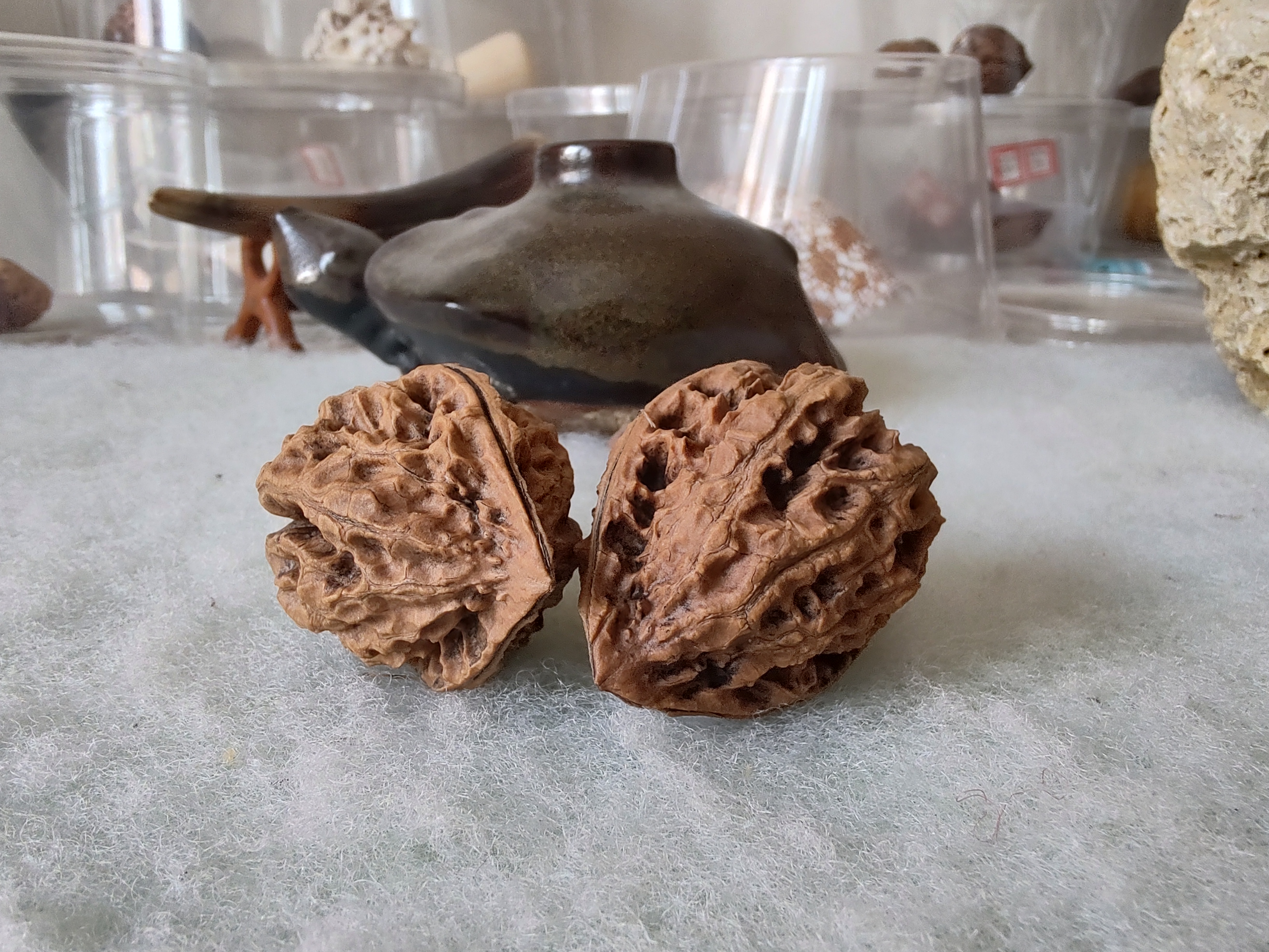 陕西官帽文玩核桃,文玩核桃秦岭官帽