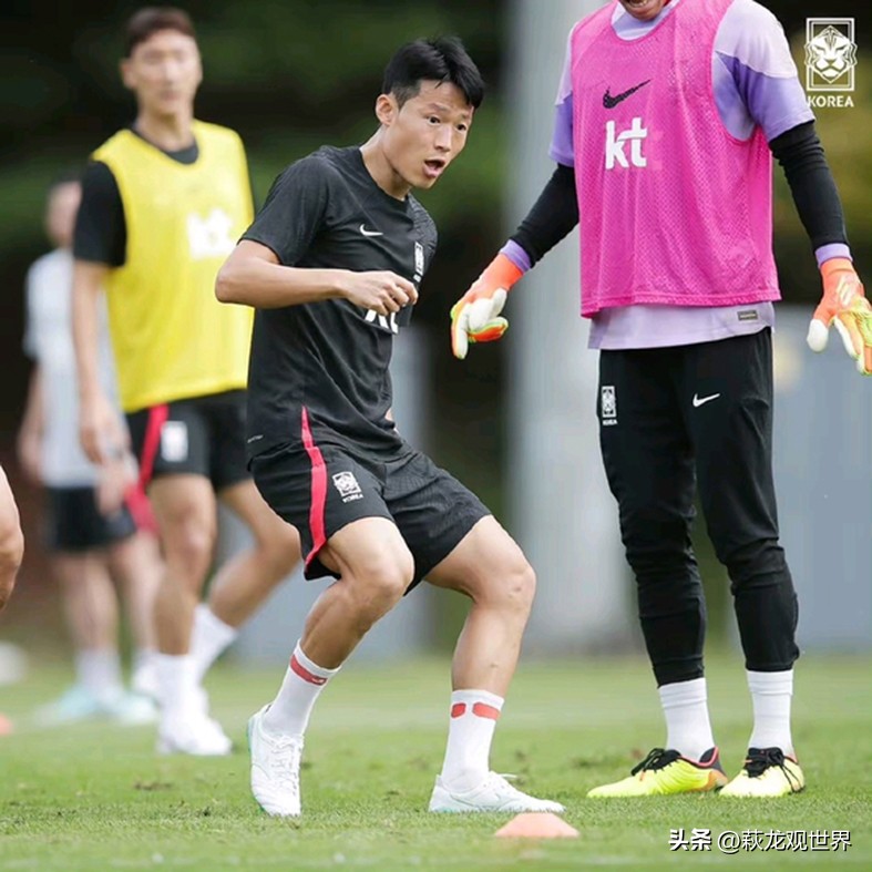 鐭枂,鐭枂绮惧僵闆嗛敠