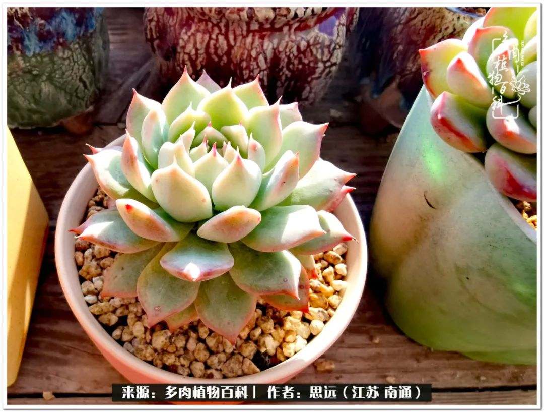 隔着时间的深爱，来自秋天的私语