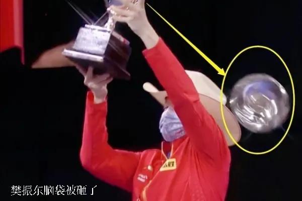 樊振东遭奖杯盖砸头,樊振东遭奖杯盖砸头和马龙对比