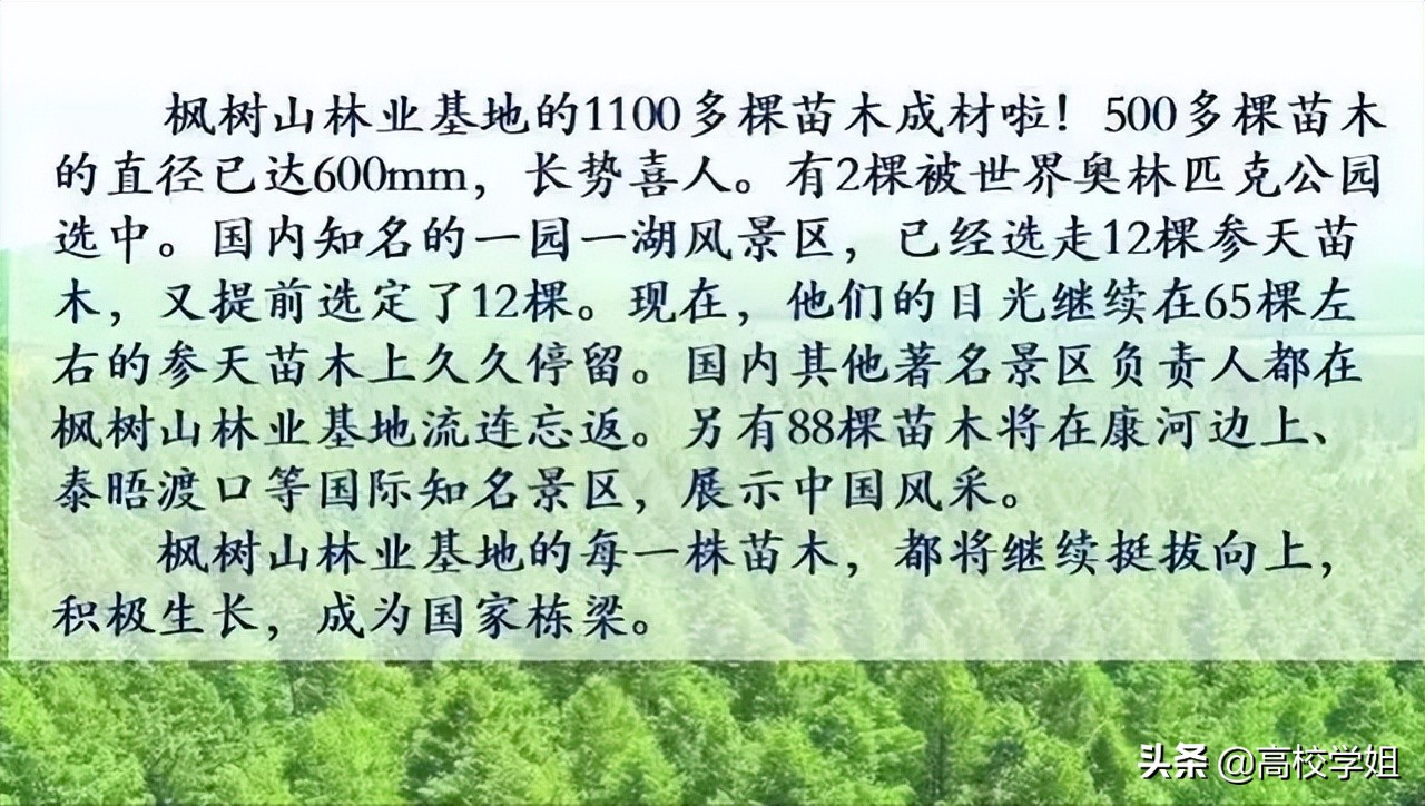2020高考重点高中喜报,2020省级示范性高中高考喜报