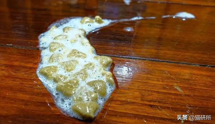 猫咪呕吐物判断表图解,怎么判断猫咪呕吐物是不是血