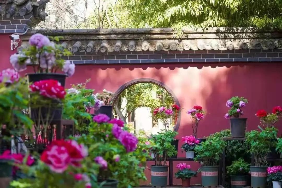 这个季节去哪里玩最合适昆明周边,昆明周边过年旅游推荐