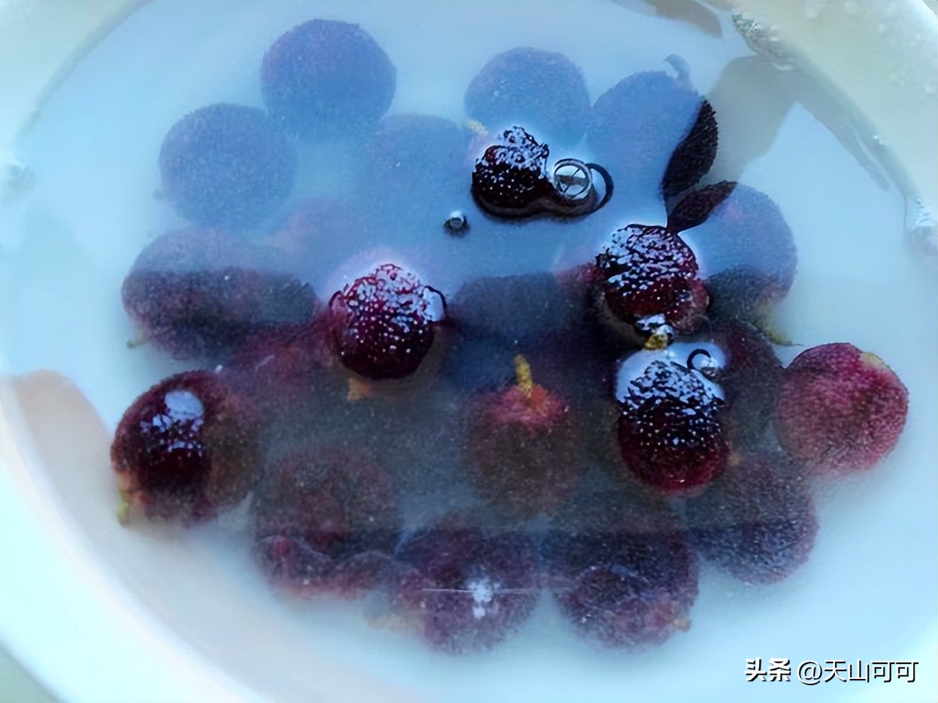 杨梅泡酒杨梅要怎么清洗,泡杨梅酒杨梅要怎么清洗