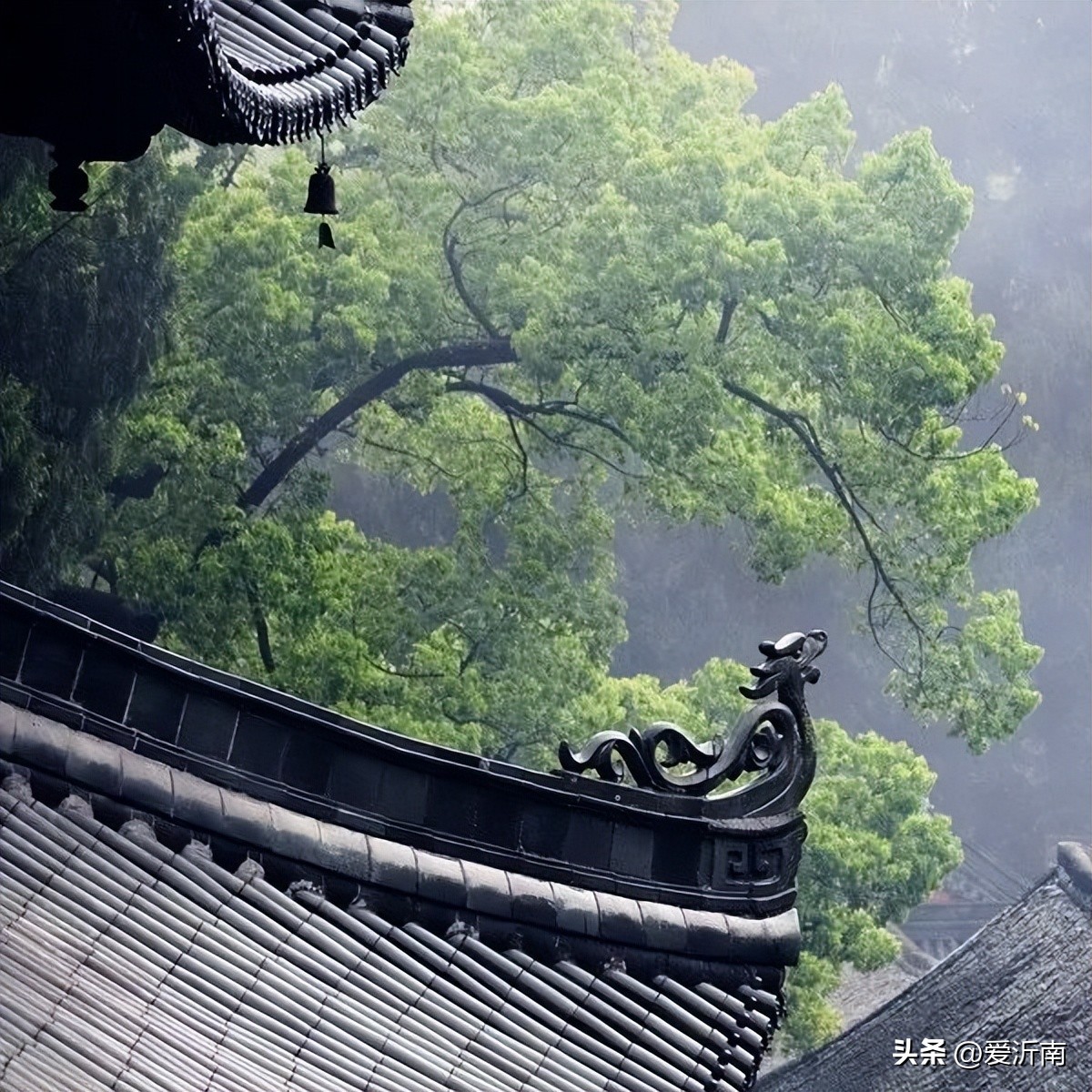 100句绝美春日诗词温柔又浪漫,微雨过小荷翻榴花开欲然