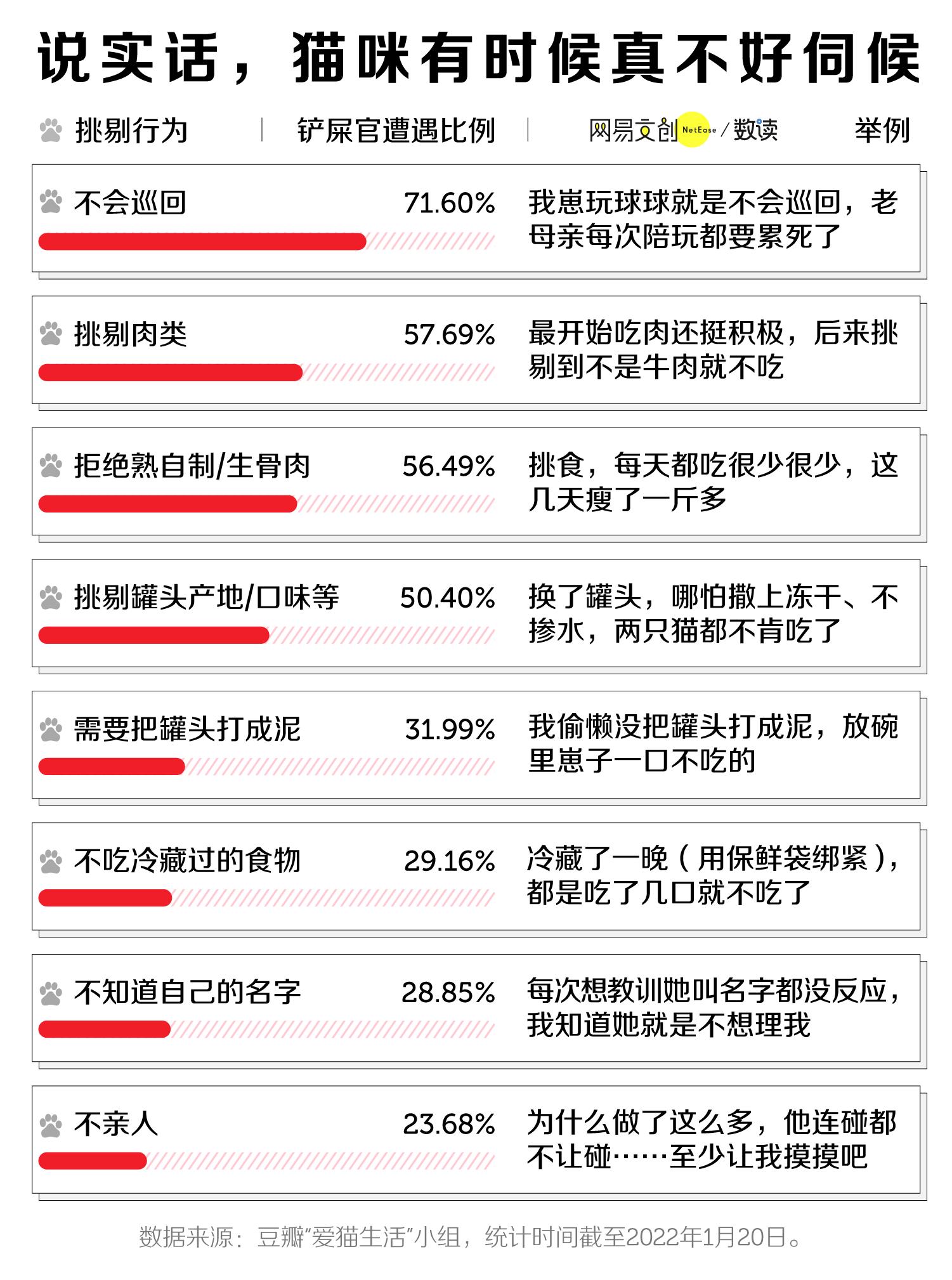 北京养猫劝退指南,养猫养狗劝退指南