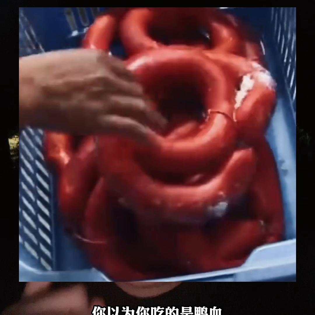 从有诚信的大渠道，买又好又贵的食材，每天给自己做一顿美...