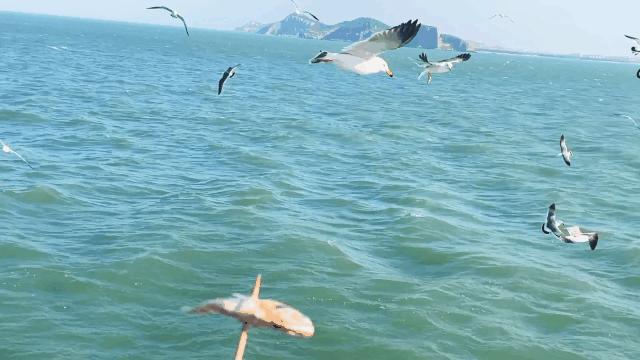 阳光正好周末出去走走,阳光明媚的周末游