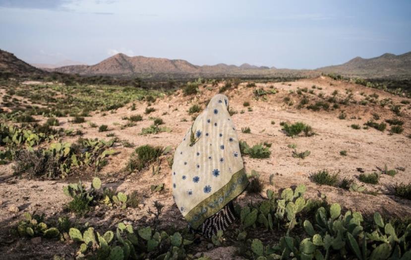 印度男子骑自行车去瑞典,印度小伙骑自行车追求瑞典女孩