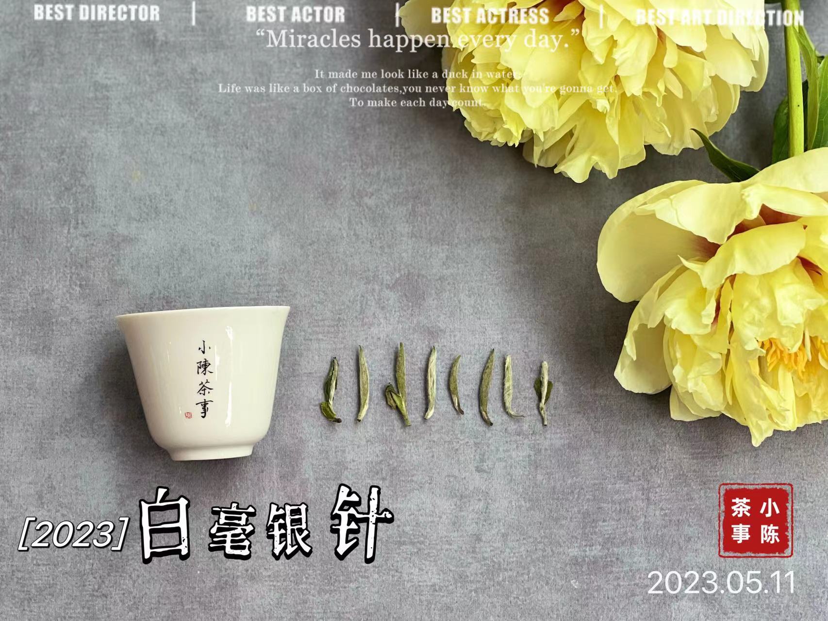 白茶鉴茶全套视频教程,白茶鉴茶教学视频