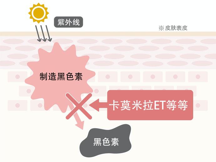 riceforceb面霜如何购买,riceforce大阪