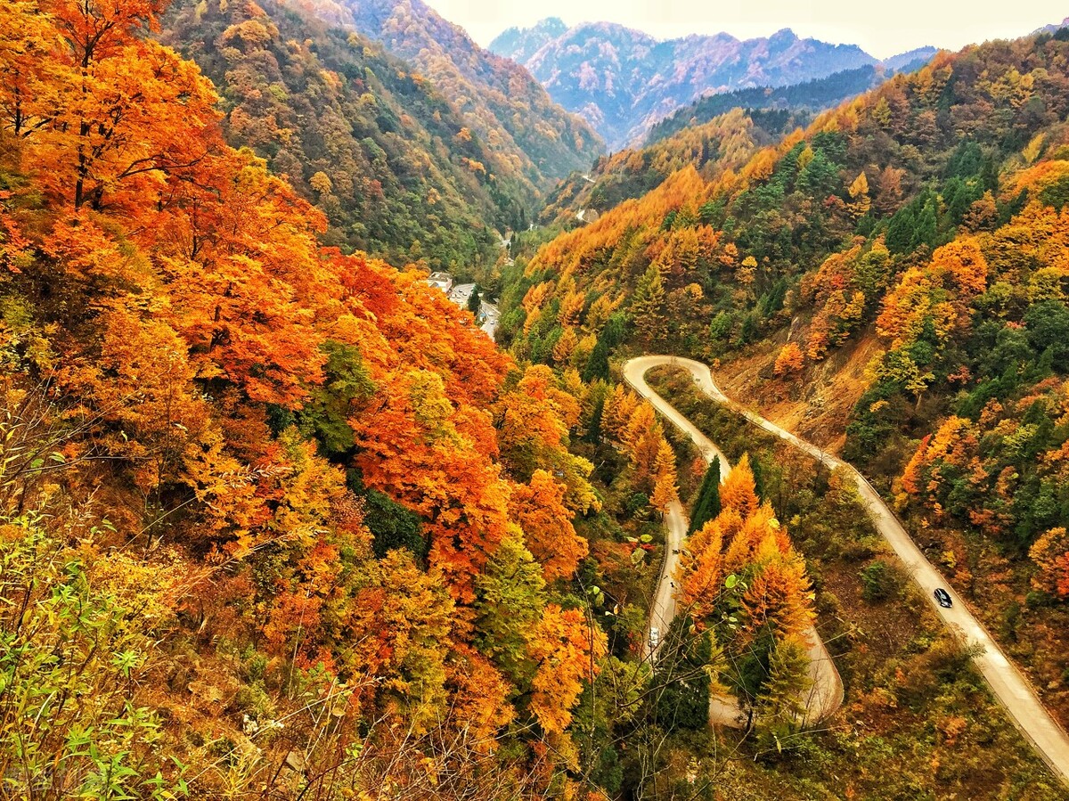11月份去哪里玩最好玩呢,十一月份秋天适合去哪旅游国内
